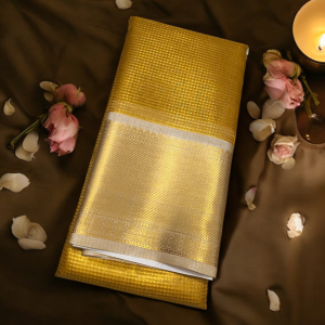 Tissue silk (Nayanthara inspired saree)